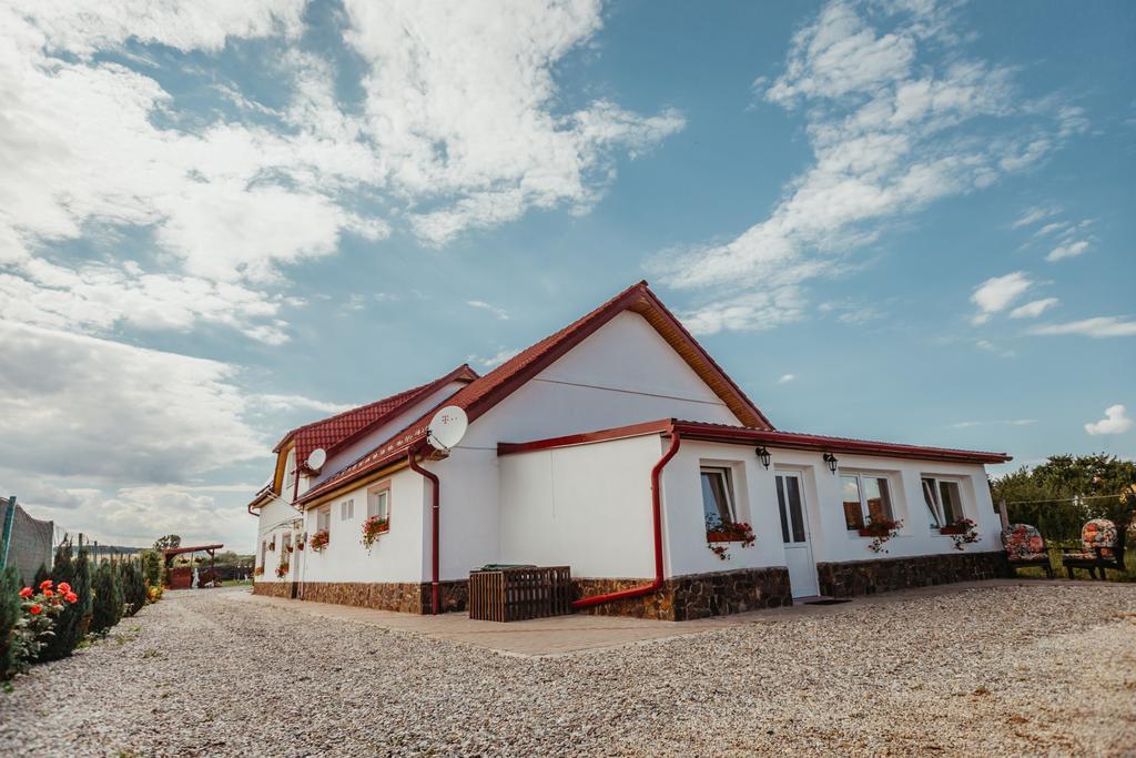 Hotel Casa Dan & Lili Okręg Sybin Zewnętrze zdjęcie