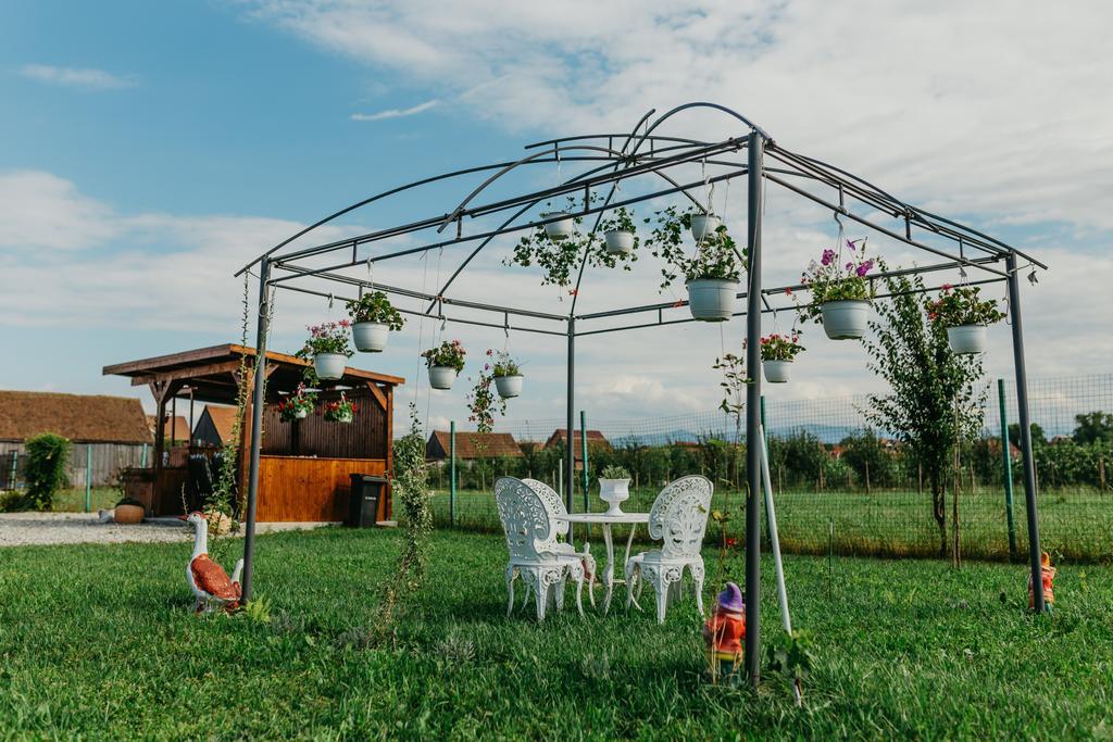 Hotel Casa Dan & Lili Okręg Sybin Zewnętrze zdjęcie